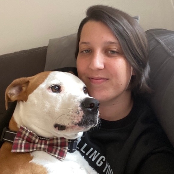 Pet Bowtie Christmas Holly & Music Notes - Picture 5 of 11